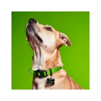 MYFAMILY Memopet, zgardă ajustabilă cu NFC câini, textil, 26-37cm, verde