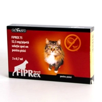 Fiprex Cat 3 pipete