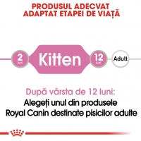 Royal Canin Kitten, bax hrană umedă pisici, (în sos), 85g x 24