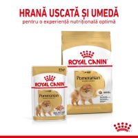 ROYAL CANIN Pomeranian Adult, hrană uscată câini, 1.5kg