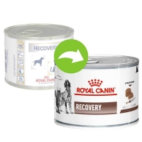 Royal Canin Recovery Canine/Feline, 195 g