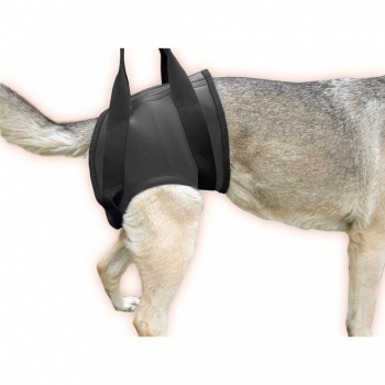 JULIUS-K9, ham reabilitare spate pentru câini, L, negru JULIUS-K9 imagine 2022