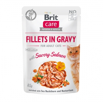BRIT Care Fillets In Gravy, Somon, plic hrană umedă fără cereale pisici, (în sos), 85g Brit imagine 2022