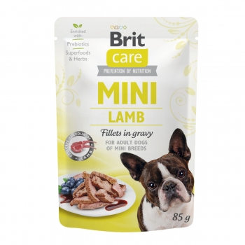 BRIT Care Mini, XS-S, File Miel, pachet economic plic hrană umedă câini, (în sos), 85g x 10 Brit imagine 2022