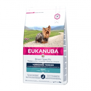 EUKANUBA Breed Specific Adult Yorkshire Terrier, Pui, hrană uscată câini, 2kg 2kg