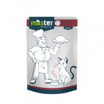 Master, carne, plic hrană umedă pisici, (în aspic), 80g
