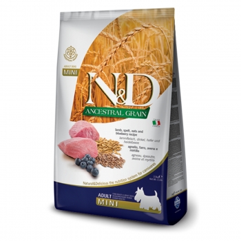N&D Ancestral Grain Adult Mini, XS-S, Miel și afine, hrană uscată conținut redus cereale câini, 7kg 7kg imagine 2022