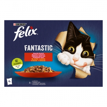 PURINA Felix Fantastic, 2 arome (Vita și Pui), pachet mixt, plic hrană umedă pisici, (în aspic), 85g x 4 (în imagine 2022