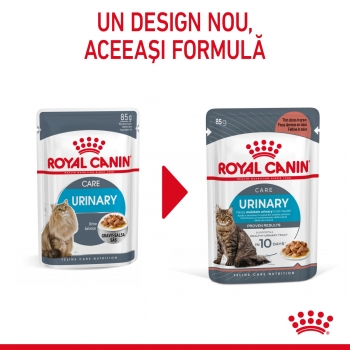 Royal canin feline care nutrition urinary care, plic hrană umedă pisici, sănătatea tractului urinar, (în sos), 85g x 12