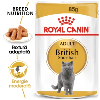 Royal Canin British Shorthair Adult, plic hrană umedă pisici, (în sos), 85g (în imagine 2022