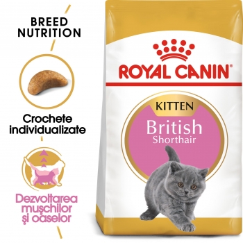 Royal Canin British Shorthair Kitten, hrană uscată pisici junior, 10kg 10kg imagine 2022