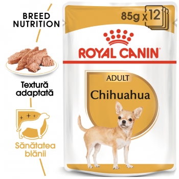 Royal Canin Chihuahua Adult, bax hrană umedă câini (pate), 85g x 12 (pate) imagine 2022