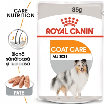 Royal Canin Coat Care Adult, plic hrană umedă câini, blană sănătoasă și lucioasă, (pate), 85g (pate) imagine 2022