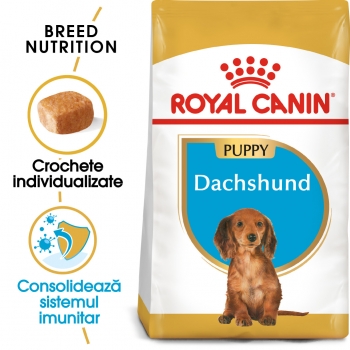 Royal Canin Dachshund Puppy, hrană uscată câini juniori, Teckel, 1.5kg 1.5kg imagine 2022