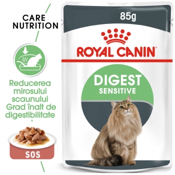 Royal Canin Digest Sensitive Care Adult, plic hrană umedă pisici, confort digestiv, (în sos), 85g