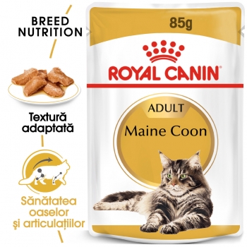 Royal Canin Maine Coon Adult, plic hrană umedă pisici, (în sos), 85g (în imagine 2022