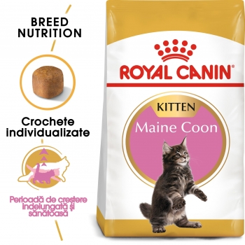 Royal Canin Maine Coon Kitten, hrană uscată pisici junior, 2kg 2kg