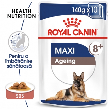 Royal Canin Maxi Ageing, bax hrană umedă câini senior, (în sos), 140g x 10 pentruanimale.ro