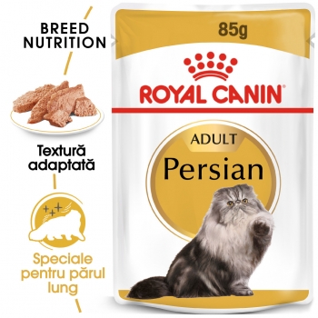 Royal Canin Persian Adult, 2 x bax hrană umedă pisici, (pate), 85g x 12 (pate) imagine 2022
