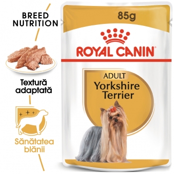 Royal Canin Yorkshire Terrier Adult, 2 x bax hrană umedă câini, (pate), 85g x 12 (pate)