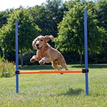 TRIXIE Agility Hurdle, jucărie obstacol câini, plastic, 129cm x 115cm x 3cm, albastru cu portocaliu 115cm imagine 2022