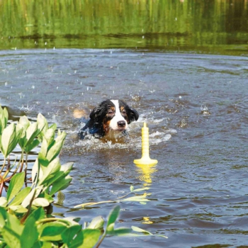 TRIXIE, MOT-Aqua, jucărie aport plutitor câini, poliuretan, 29cm, galben 29cm imagine 2022