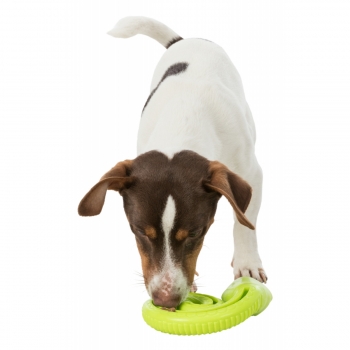Trixie, jucărie recompensă șarpe câini, cu sunet, cauciuc termoplastic, 18cm, multicolor 18cm imagine 2022