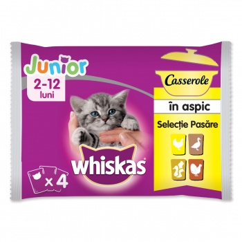 WHISKAS Casserole Selecții Pasăre Junior, 4 arome, pachet mixt, plic hrană umedă pisici junior, (în aspic), 85g x 4 (în