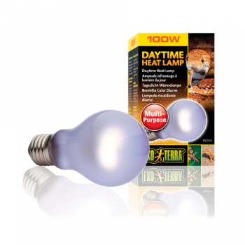 Bec Daytime Heat Lamp A19 - PT2110 60 W