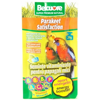 Belcuore Vitamine Energie pentru Papagali Mici 20g imagine