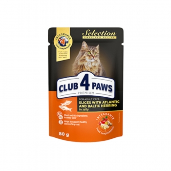 CLUB 4 PAWS Premium Selection, Hering, plic hranÄƒ umedÄƒ pisici, (Ã®n sos), 80g