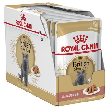Royal Canin British Shorthair Adult, bax hrană umedă pisici, (în sos), 85g x 12 (în imagine 2022
