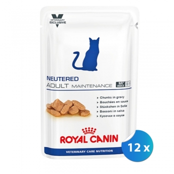 Pachet Royal Canin Neutered Adult Maintenance Cat, 12 x 100 g pentruanimale.ro imagine 2022