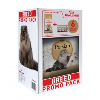 Kit Breed Royal Canin Persian, 2 kg
