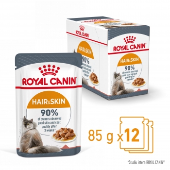 Royal Canin Hair & Skin Care Adult, bax hrană umedă pisici, piele și blană, (în sos), 85g x 12 (în imagine 2022