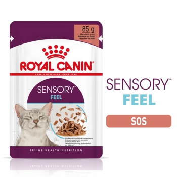 Royal canin sensory feel, plic hrană umedă pisici, stimularea simțului tactil (în sos), 85g