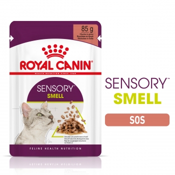 Royal Canin Sensory Smell, plic hrană umedă pisici, stimularea mirosului (în sos), 85g x 12 pentruanimale.ro imagine 2022