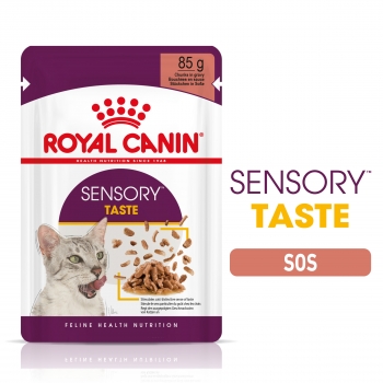 Royal Canin Sensory Taste, 2 x bax hrană umedă pisici, stimularea gustului (în sos), 85g x 12