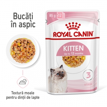 ROYAL CANIN Kitten, plic hrană umedă pisici, (în aspic), 85g (în imagine 2022