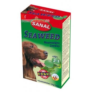 Sanal Dog Seaweed 100 100 imagine 2022